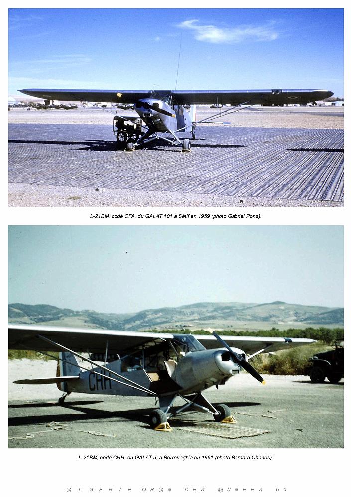 Piper L-21B_000053.jpg
